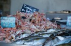 Vente de langoustines et poissons locaux