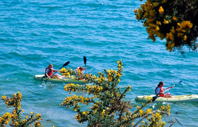 Kayak sur le Golfe du Morbihan