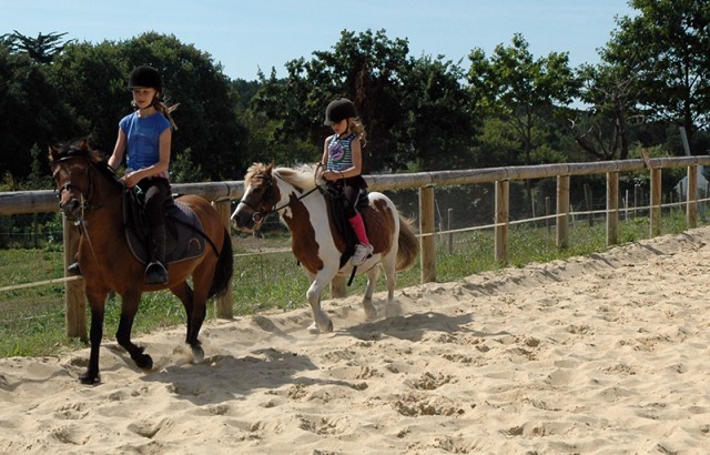 Cours et stage d'équitation au centre équestre